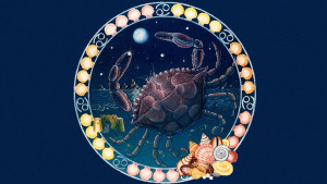 Remedii naturiste pentru zodiile Rac, Leu si Fecioara 2