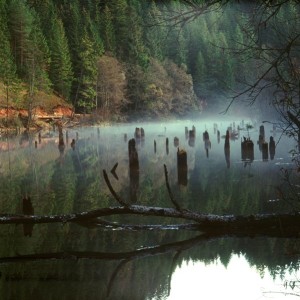 Frumusetile si misterele care invaluie rezervatia naturala Lacul Rosu 2